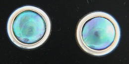E11 Paua pearl Silver stud Earrings